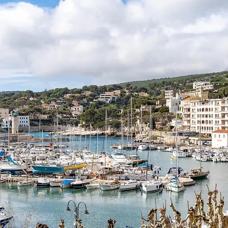 L'original Par Dodo-a-cassis